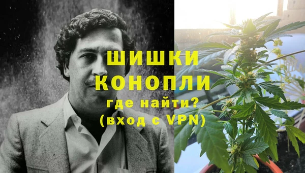 индика Сясьстрой