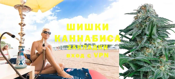 PSILOCYBIN Баксан