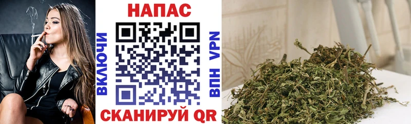 Канабис конопля Болохово